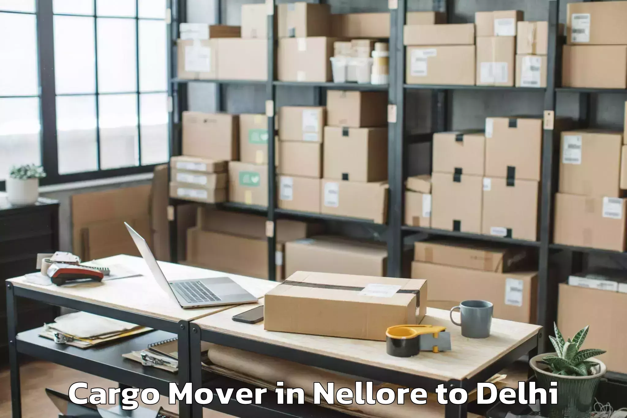 Professional Nellore to Flatted Factory Complex Okhla Cargo Mover